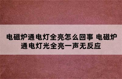 电磁炉通电灯全亮怎么回事 电磁炉通电灯光全亮一声无反应